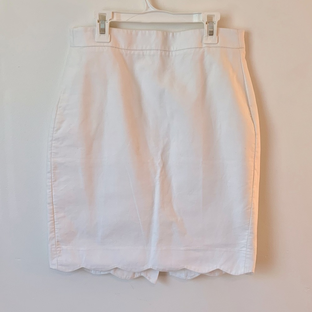 J. Crew Skirt